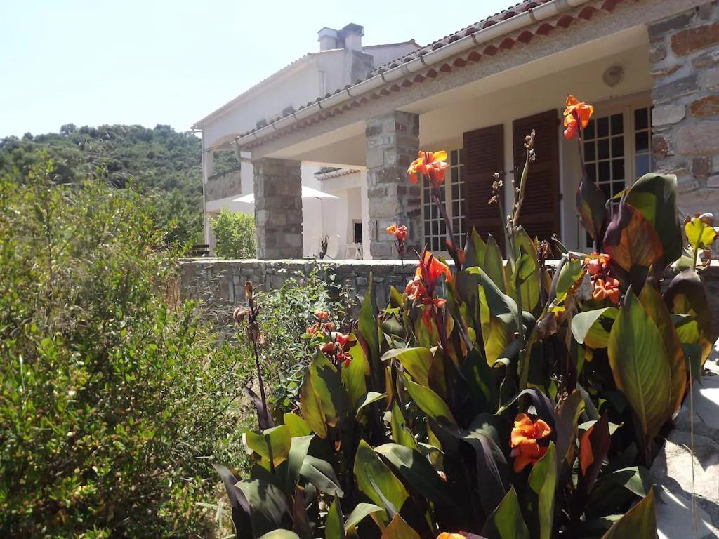 Villa Les Terrasses D Acquacitosa